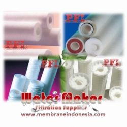 FSI Filter Cartridges membrane indonesia  large