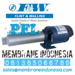 d FW Flint  Walling RO Booster Pumps Indonesia  large